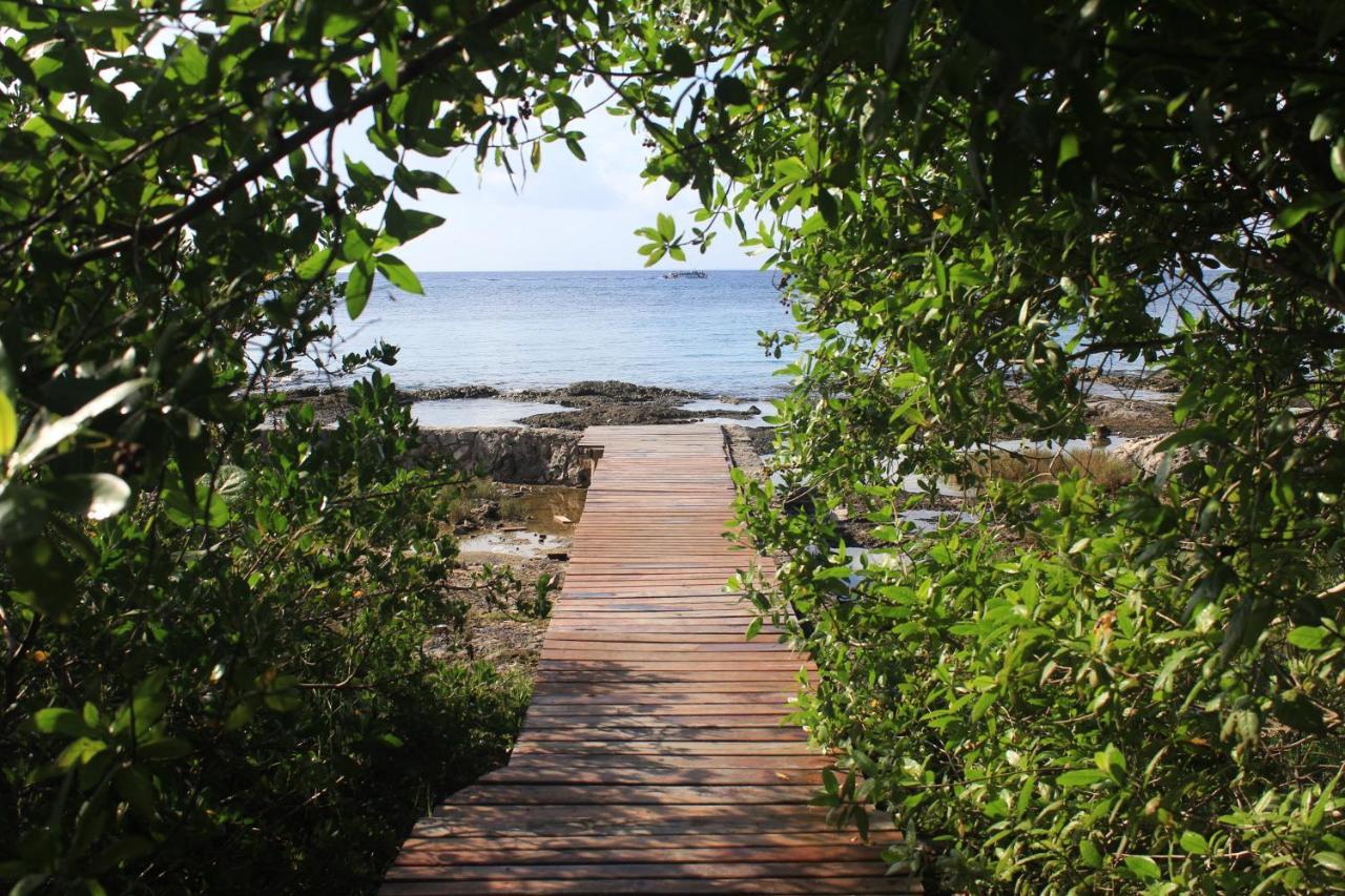 Confortable Casa En Cozumel, Condominio Con Vista Al Mar # 10 Екстериор снимка